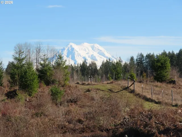 $400,000 | 2906 357th Street East, Eatonville, WA 98328