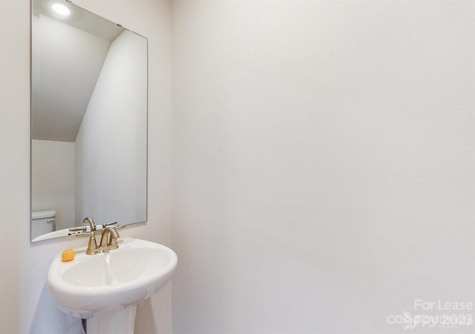 163 Brixham Loop Troutman, NC 28166 - Photo 11 of 34 a bathroom with a sink and a mirror
