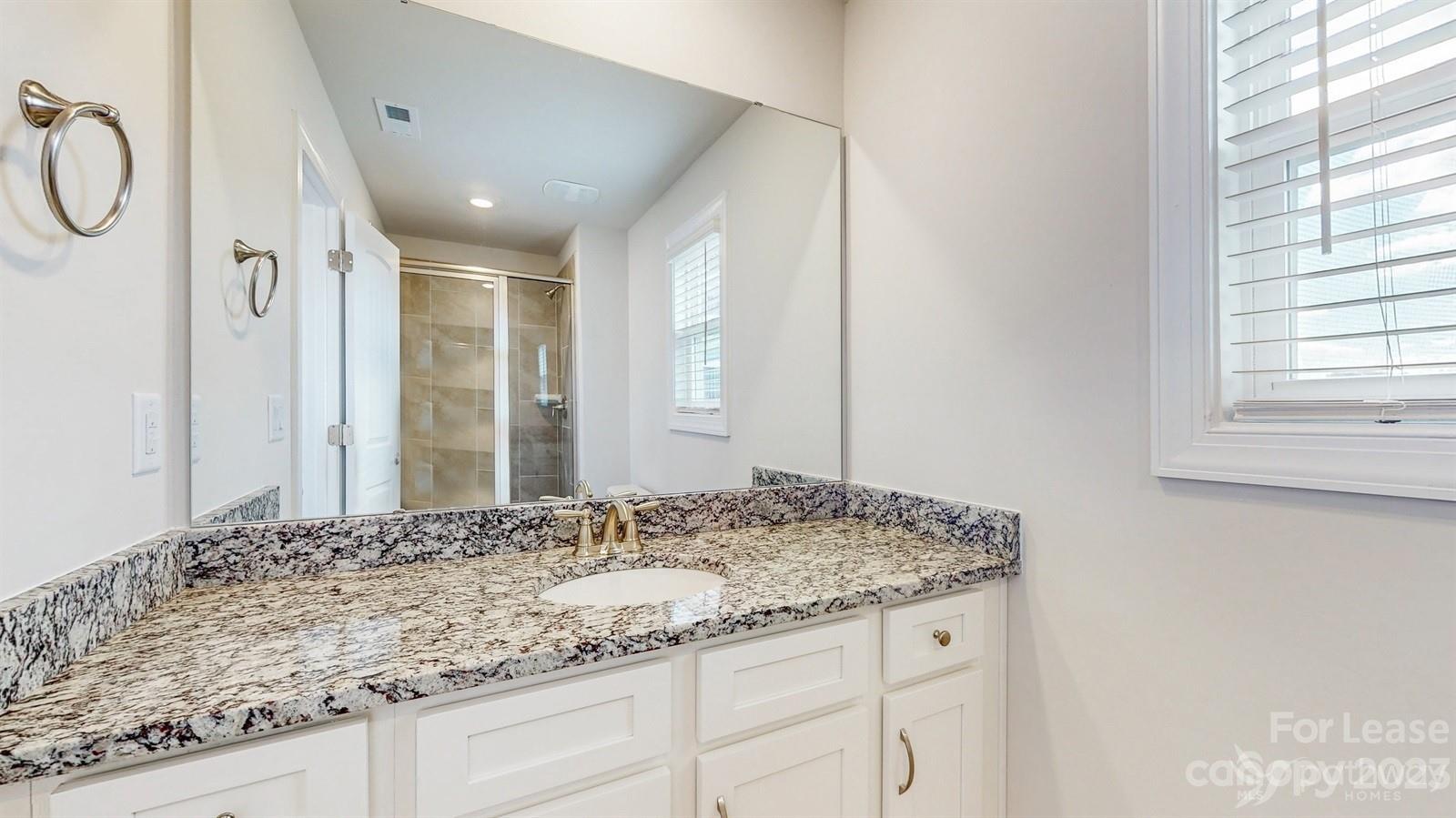 163 Brixham Loop Troutman, NC 28166 - Photo 17 of 34 a bathroom with a granite countertop sink and a mirror
