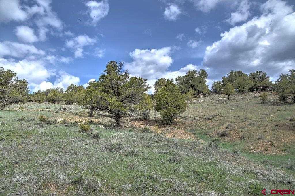 Lot 1 Last Stand Road Ridgway, CO 81432 - Photo 14 of 18