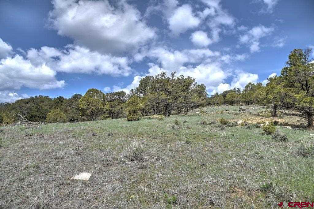 Lot 1 Last Stand Road Ridgway, CO 81432 - Photo 15 of 18