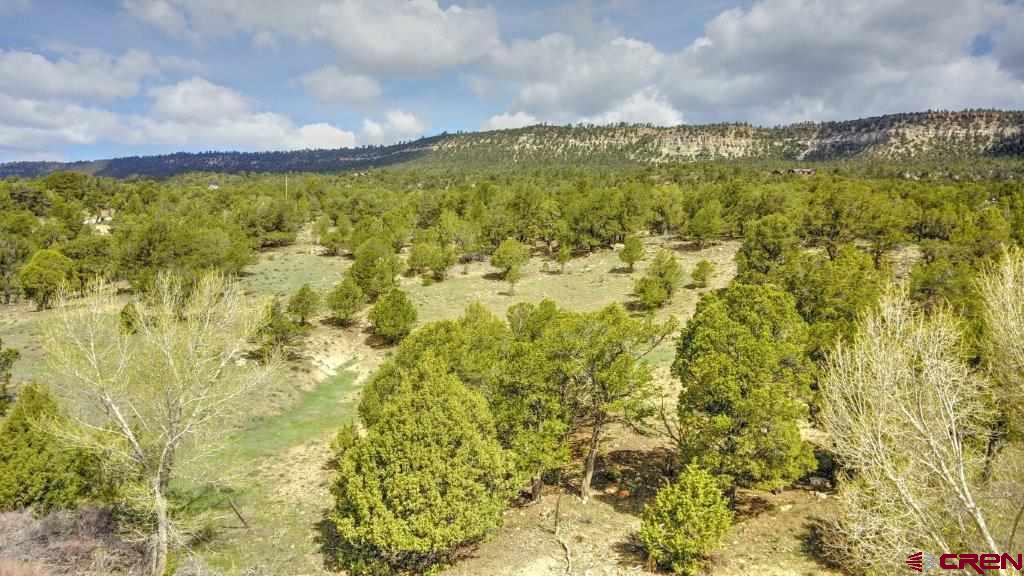 Lot 1 Last Stand Road Ridgway, CO 81432 - Photo 3 of 18
