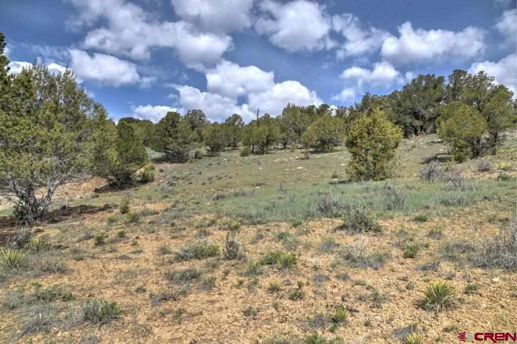 Lot 1 Last Stand Road Ridgway, CO 81432 - Photo 8 of 18