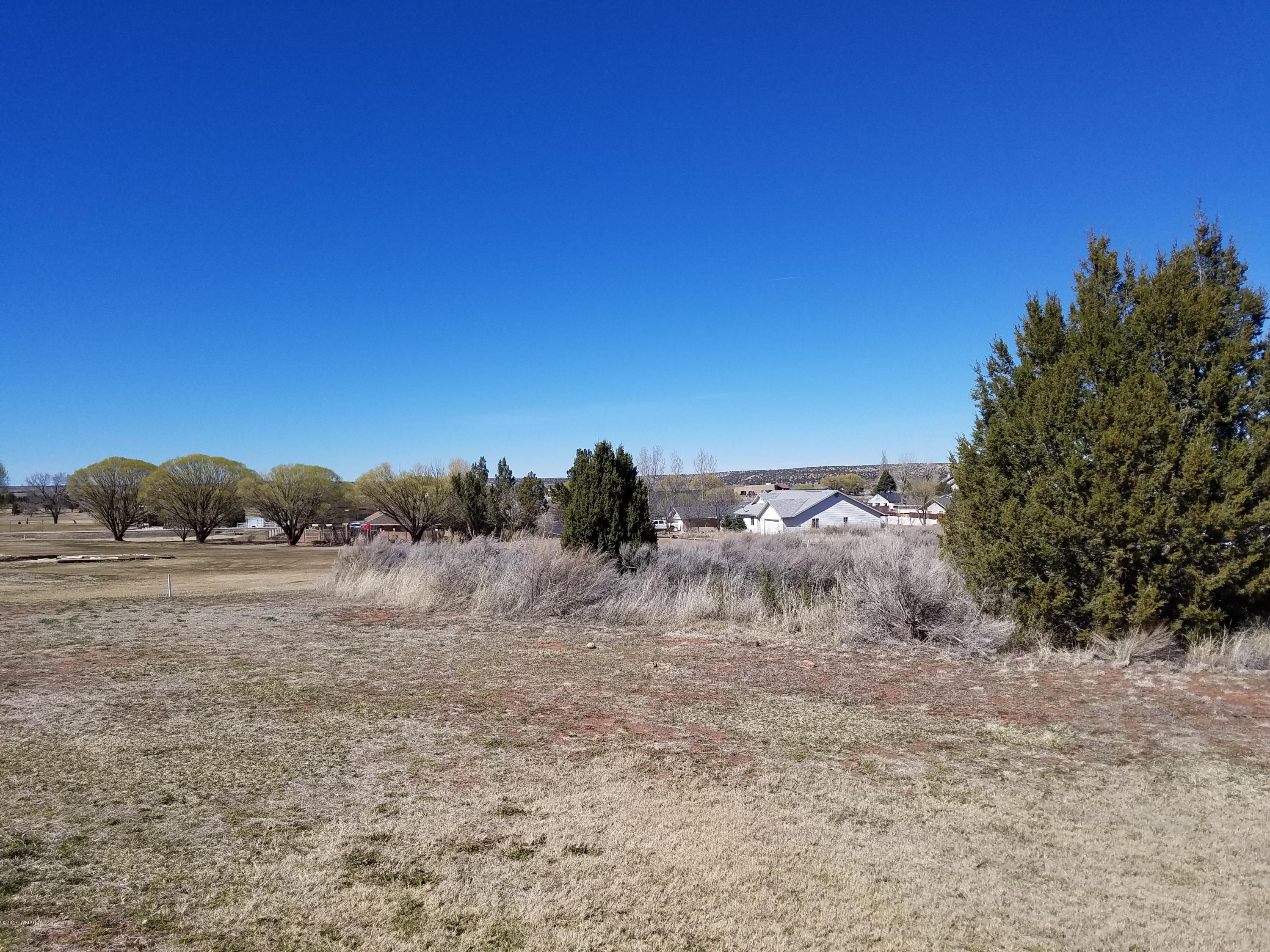 Tbd Ridge Road Snowflake, AZ 85937 - Photo 1 of 17