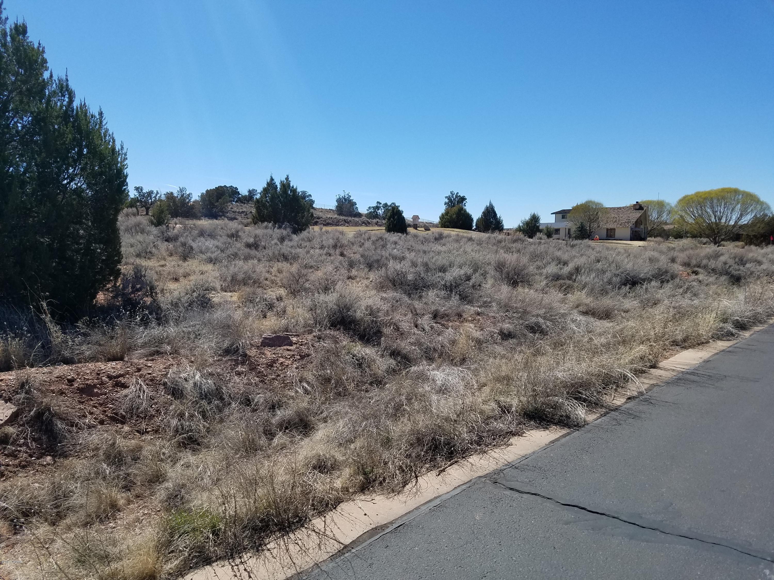 Tbd Ridge Road Snowflake, AZ 85937 - Photo 11 of 17