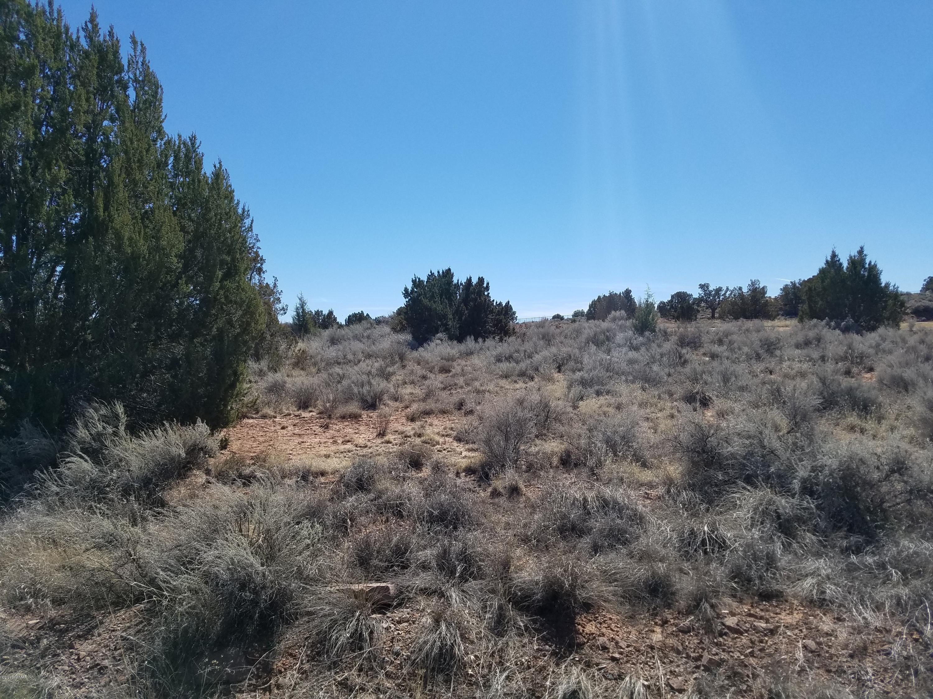 Tbd Ridge Road Snowflake, AZ 85937 - Photo 12 of 17