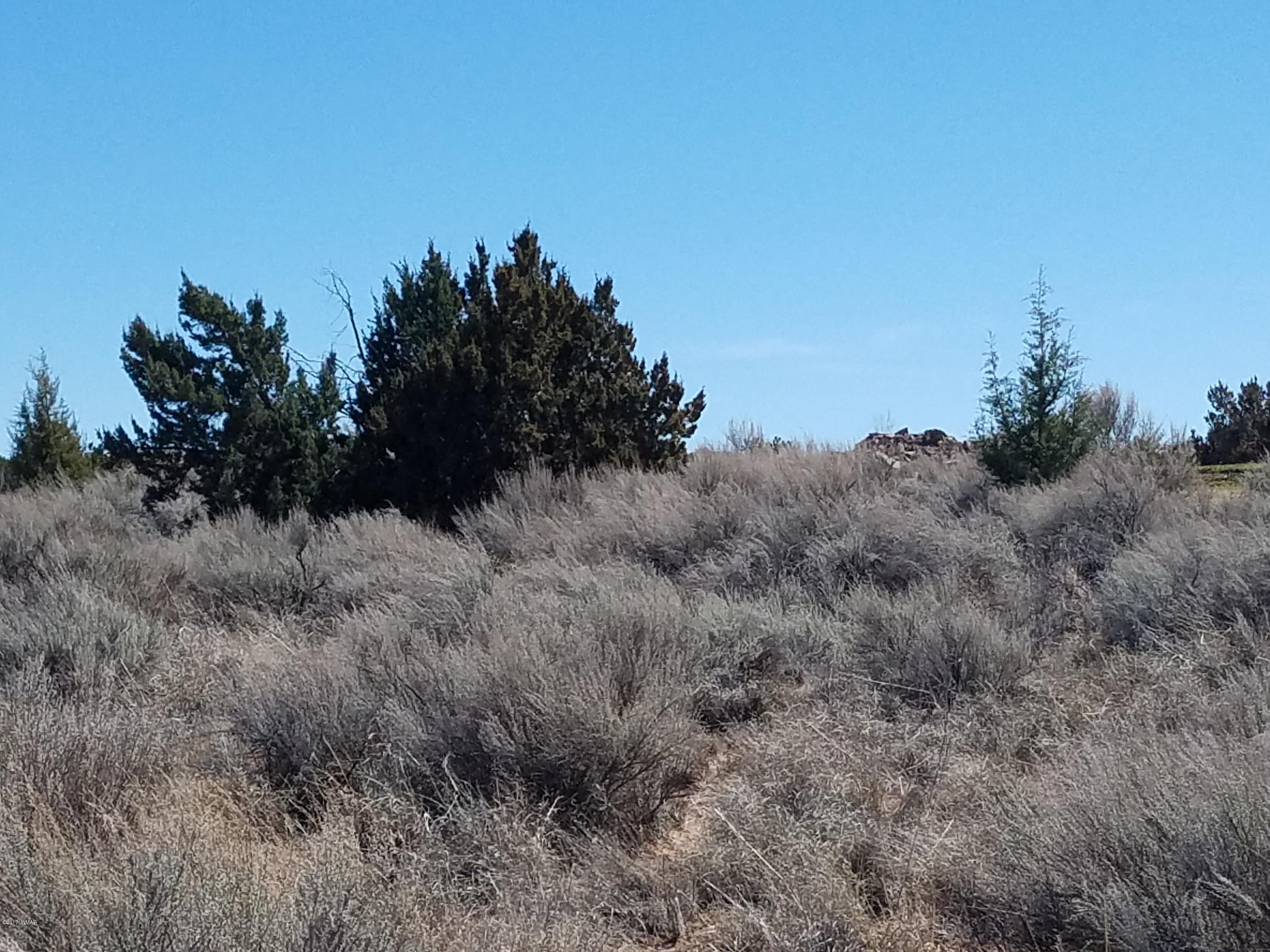Tbd Ridge Road Snowflake, AZ 85937 - Photo 14 of 17