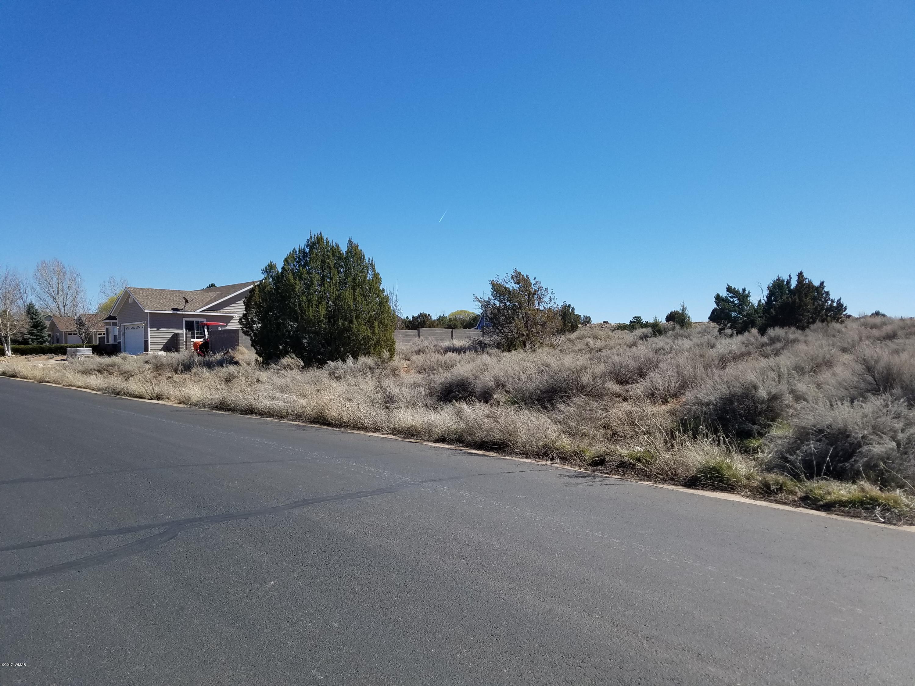 Tbd Ridge Road Snowflake, AZ 85937 - Photo 16 of 17