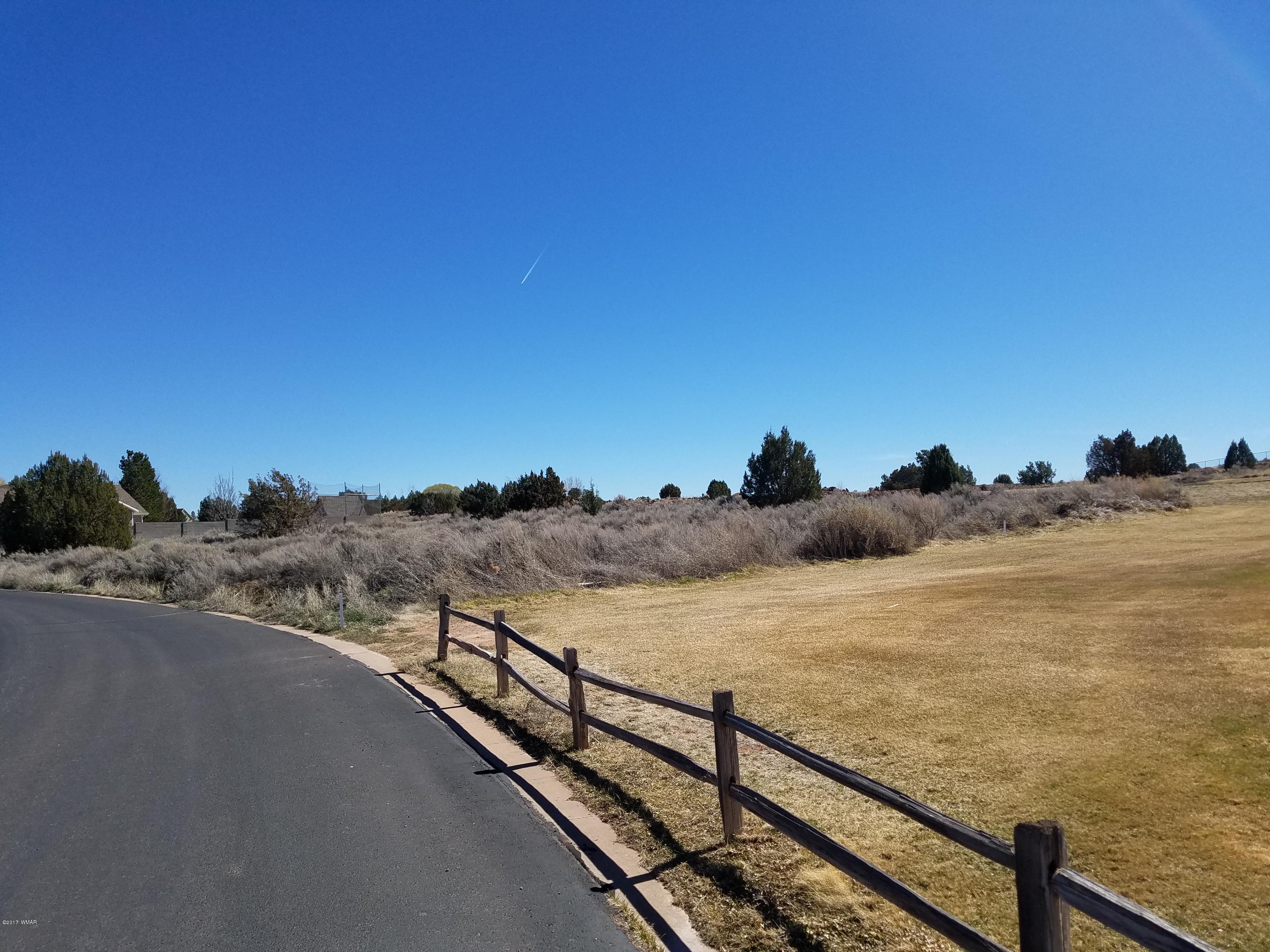 Tbd Ridge Road Snowflake, AZ 85937 - Photo 3 of 17