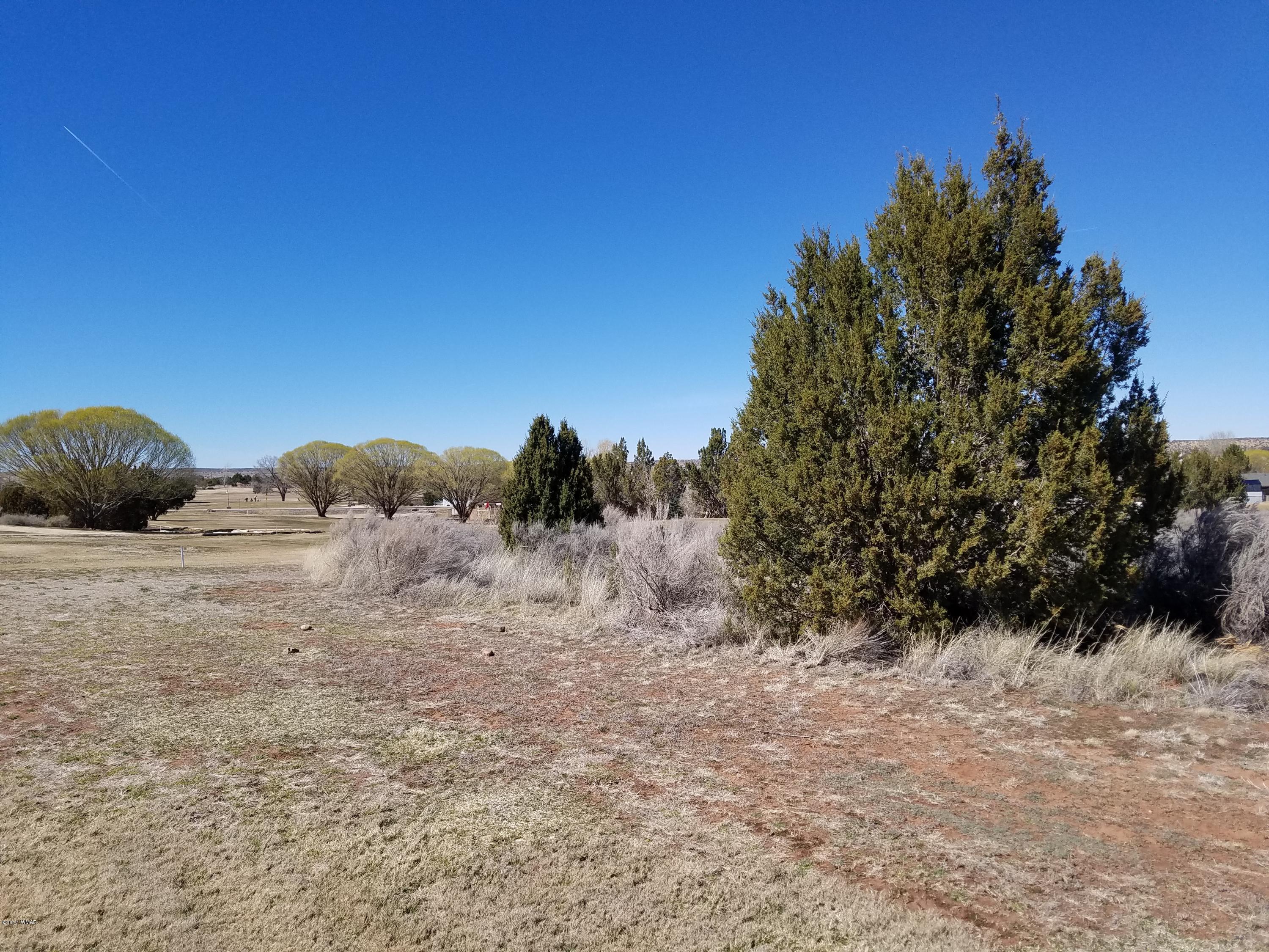Tbd Ridge Road Snowflake, AZ 85937 - Photo 4 of 17
