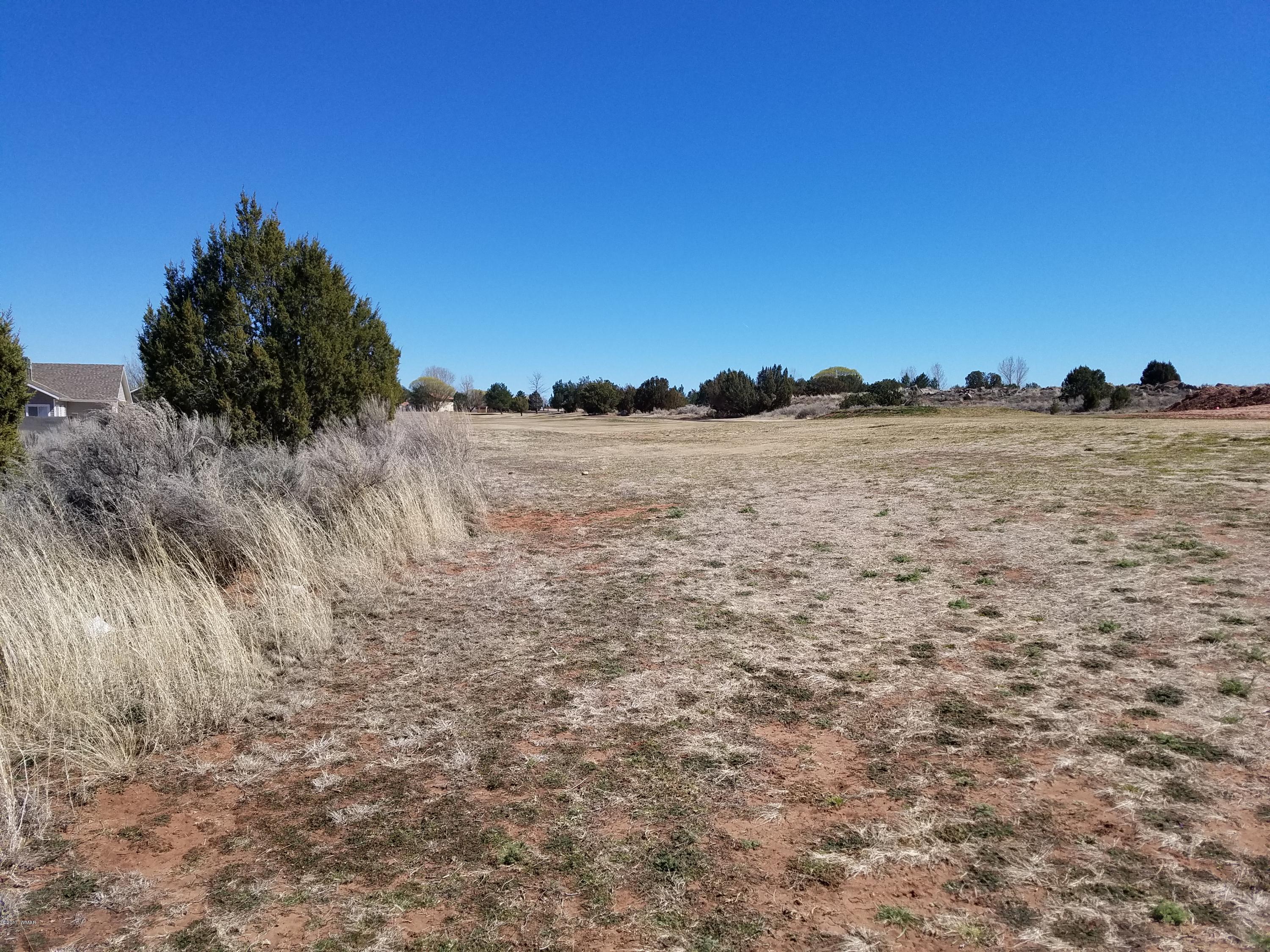 Tbd Ridge Road Snowflake, AZ 85937 - Photo 5 of 17