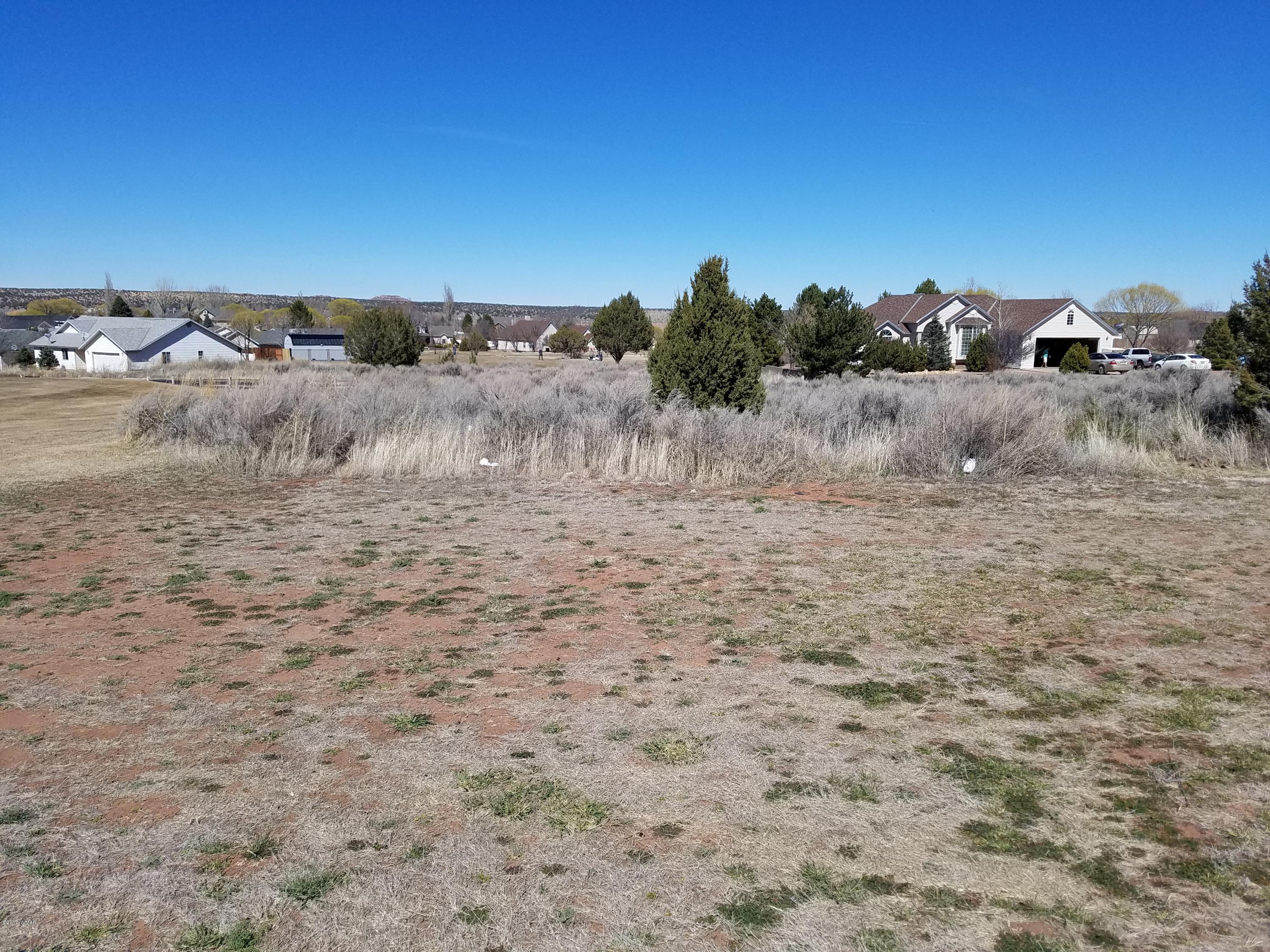 Tbd Ridge Road Snowflake, AZ 85937 - Photo 6 of 17
