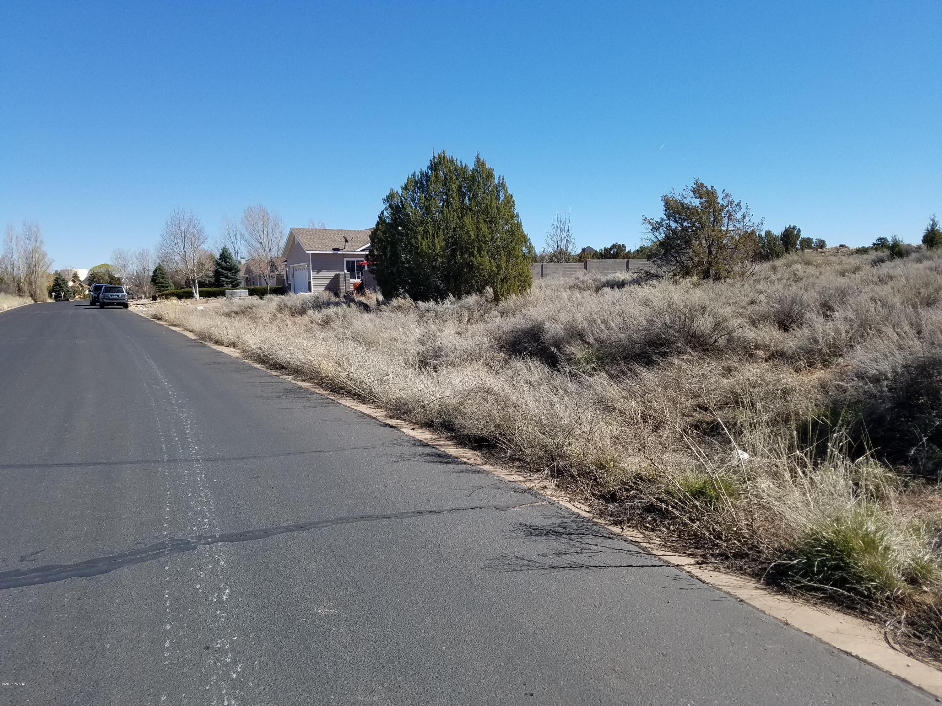 Tbd Ridge Road Snowflake, AZ 85937 - Photo 10 of 17