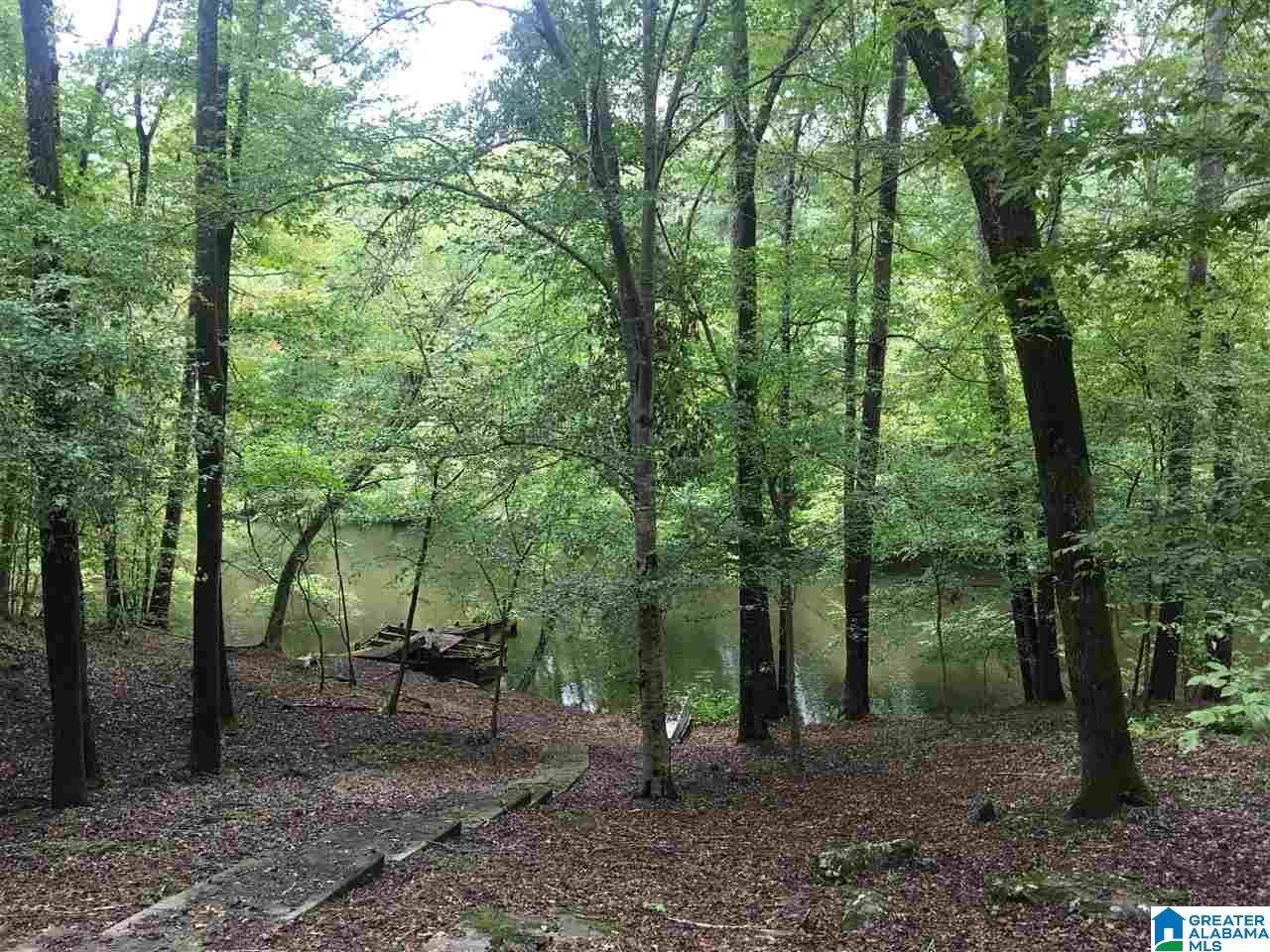 839 Rainwood Lodge Road Quinton, AL 35130 - Photo 13 of 13
