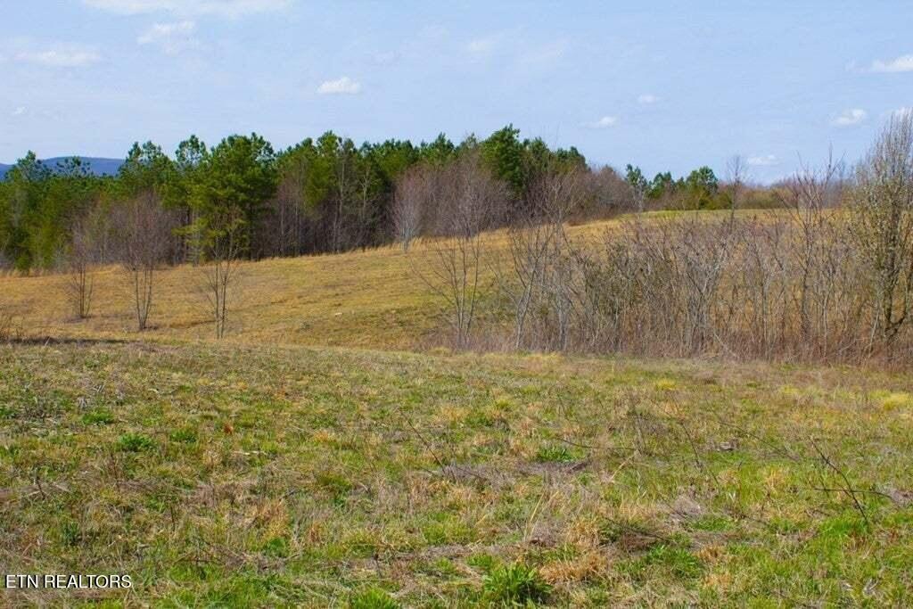 6 Tower Road Grandview, TN 37337 - Photo 3 of 5 Gallery Image 3