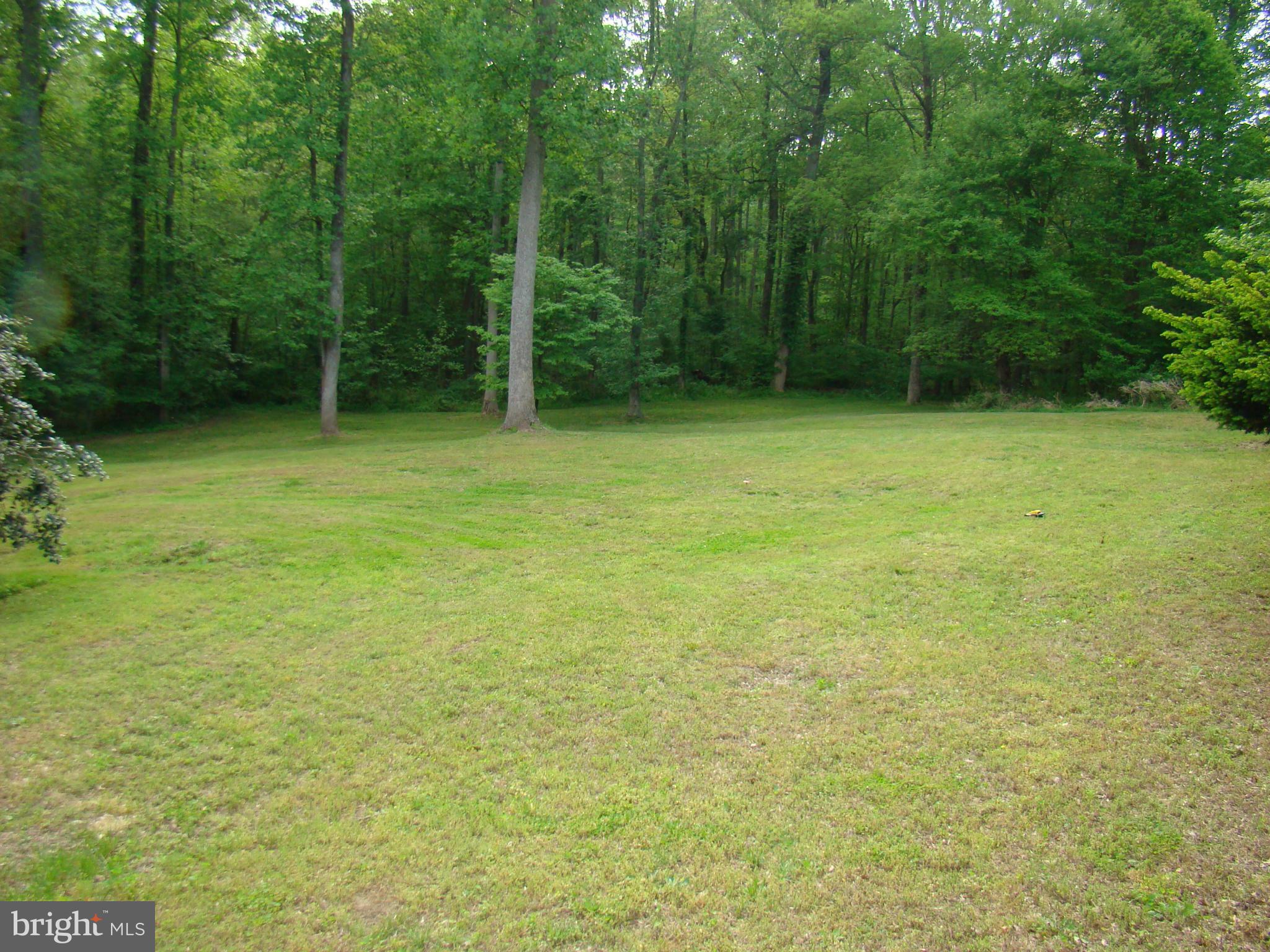 509 Clarks Run Road La Plata, MD 20646 - Photo 19 of 30 Large Open back yard backs to woods