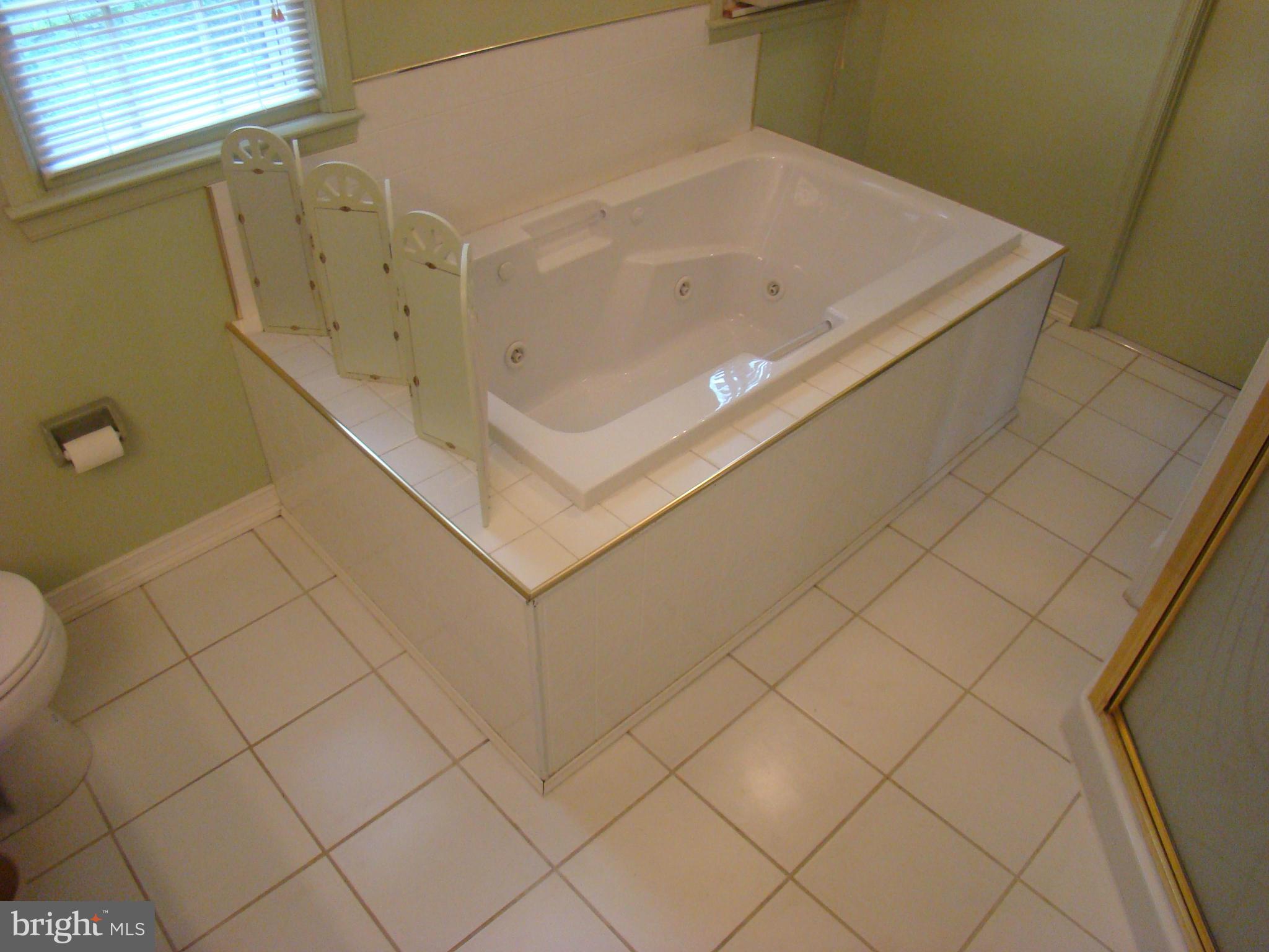 509 Clarks Run Road La Plata, MD 20646 - Photo 9 of 30 Bath (Master)