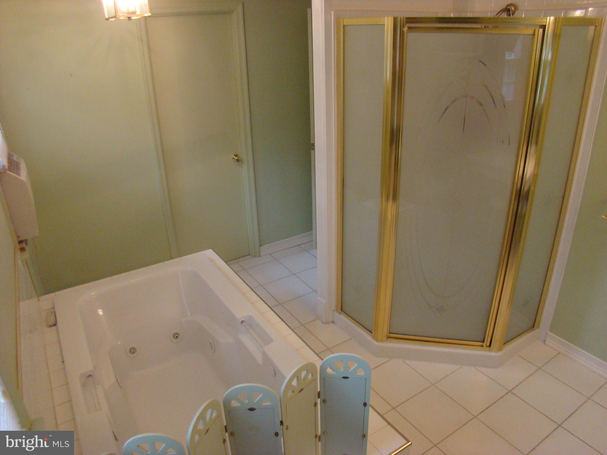 509 Clarks Run Road La Plata, MD 20646 - Photo 10 of 30 Bath (Master)