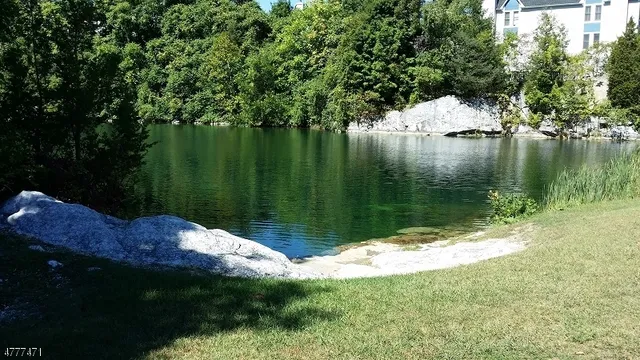 a view of lake from yard