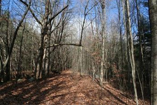 0 Keets Brook Road Bernardston, MA 01337 - Photo 2 of 8 Gallery Image 2
