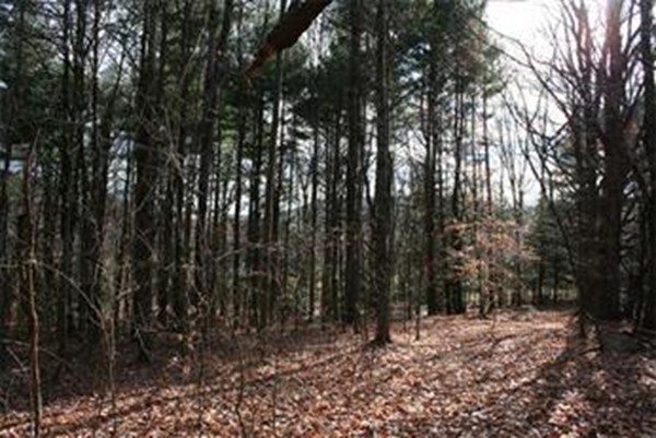 0 Keets Brook Road Bernardston, MA 01337 - Photo 8 of 8 Gallery Image 8
