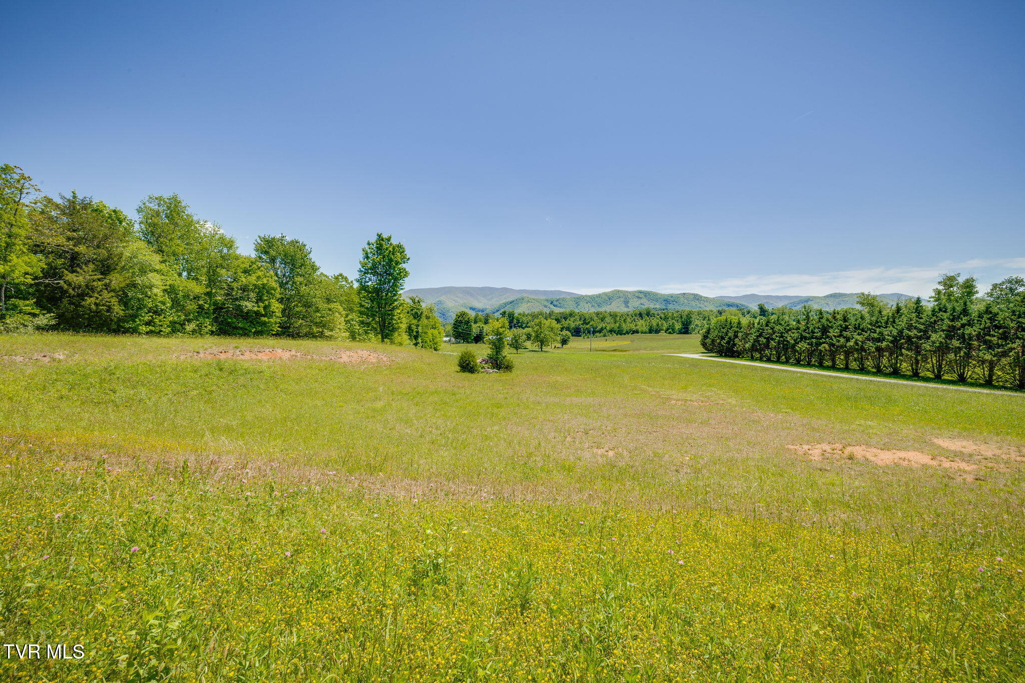 705 Union Chapel Road Afton, TN 37616 - Photo 12 of 73 054