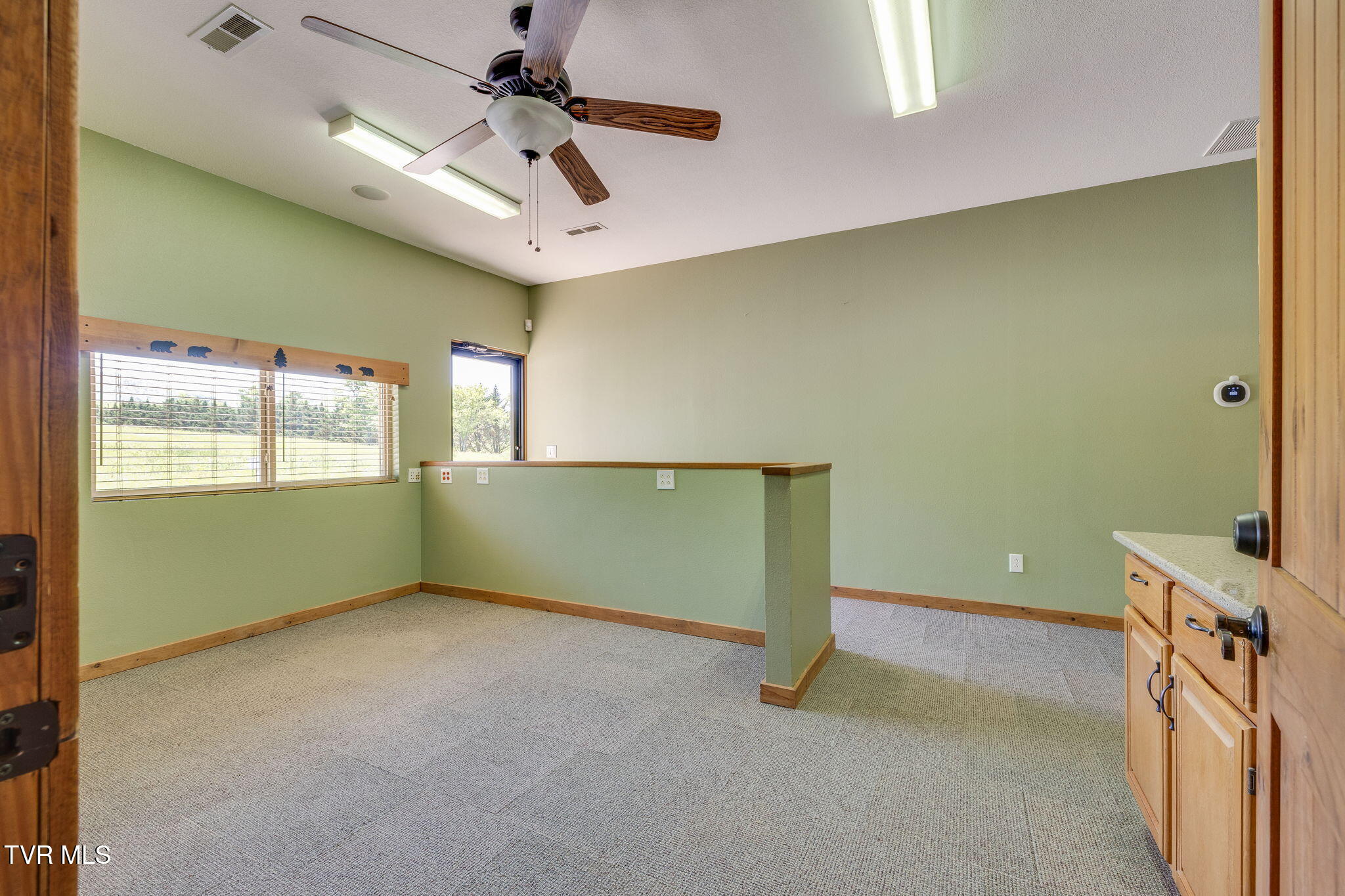 705 Union Chapel Road Afton, TN 37616 - Photo 25 of 73 021