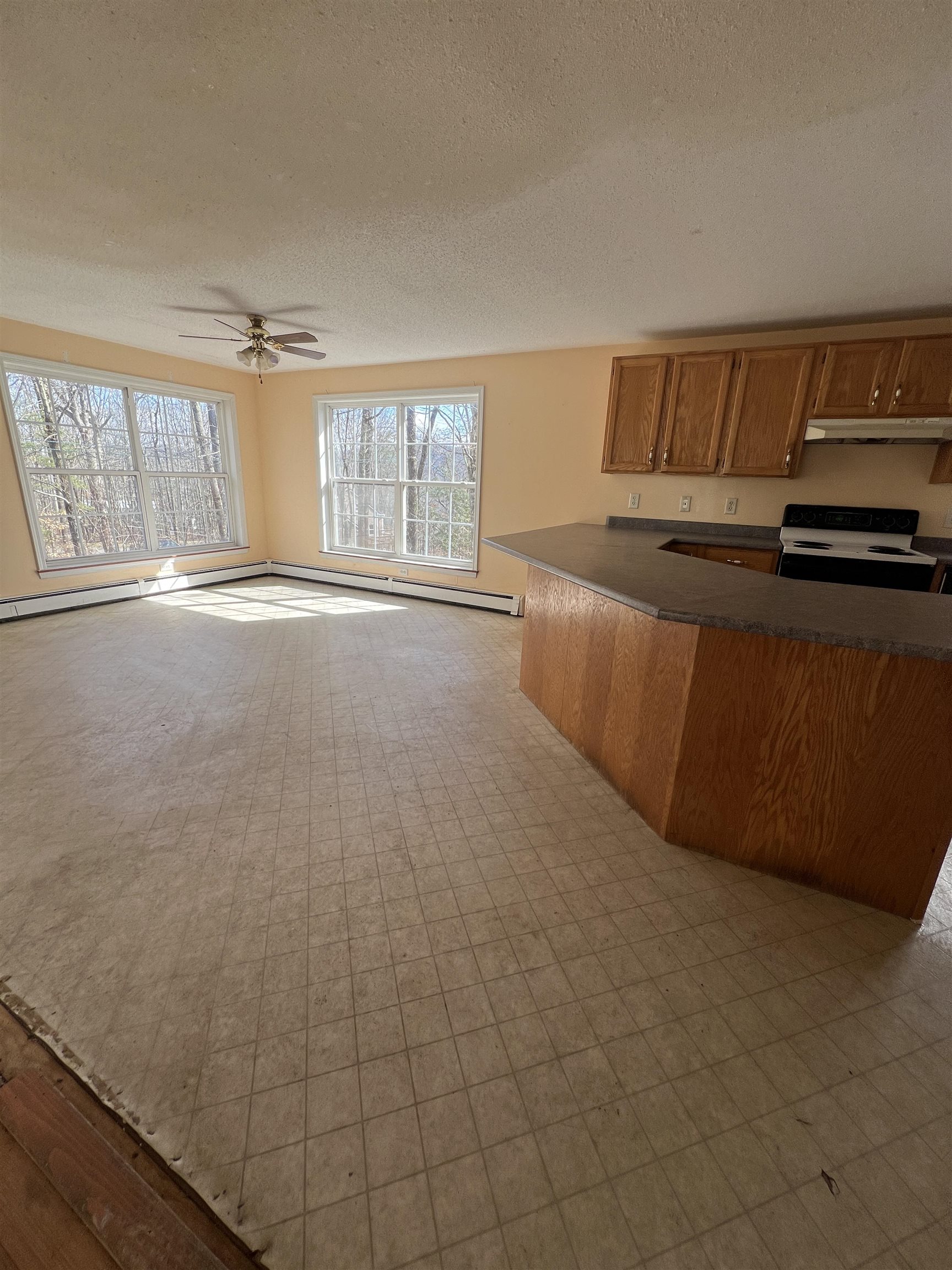 76 Griswold Drive Rockingham, VT 05101 - Photo 5 of 22 Gallery Image 5
