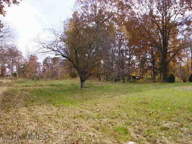 1751 Woodrow Julian Road Staley, NC 27355 - Photo 2 of 4 Other.