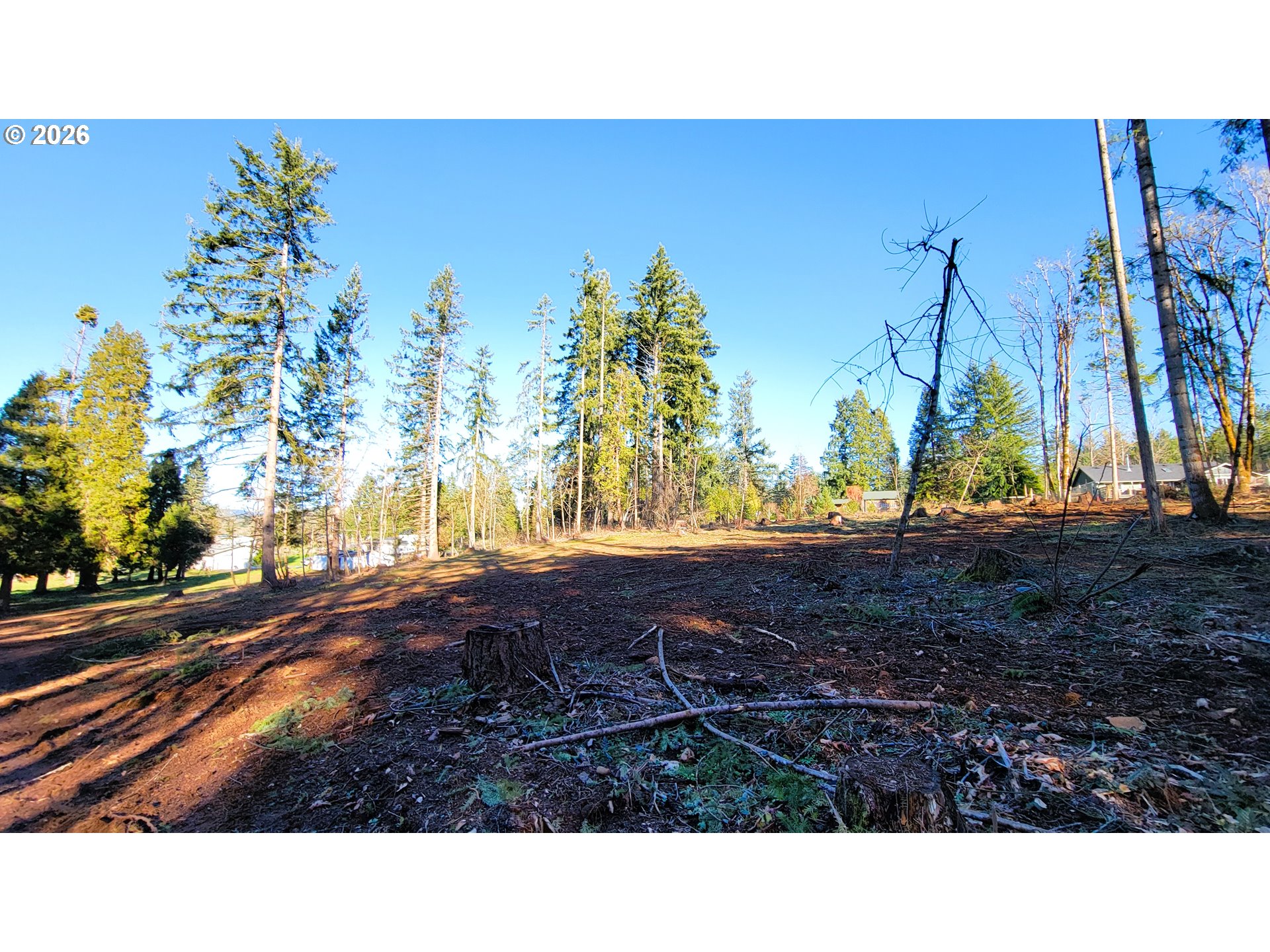 Rogers Lane, Unit 2 Dexter, OR 97431 - Photo 3 of 5