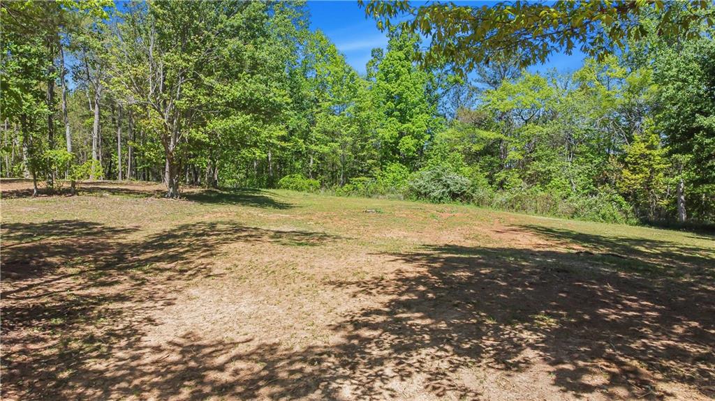 2383 Sperin Road Ball Ground, GA 30107 - Photo 33 of 38