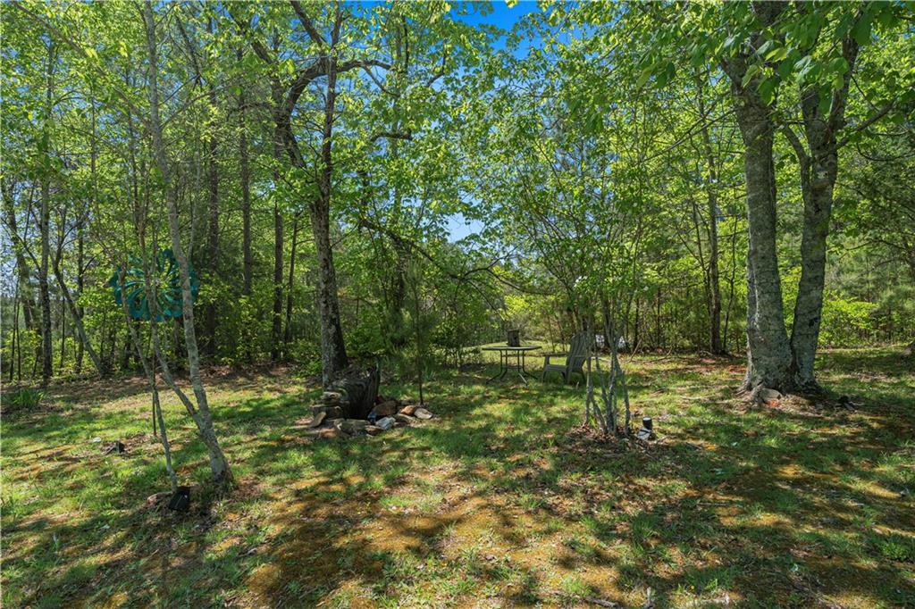 2383 Sperin Road Ball Ground, GA 30107 - Photo 35 of 38 a big yard with lots of green space and deers