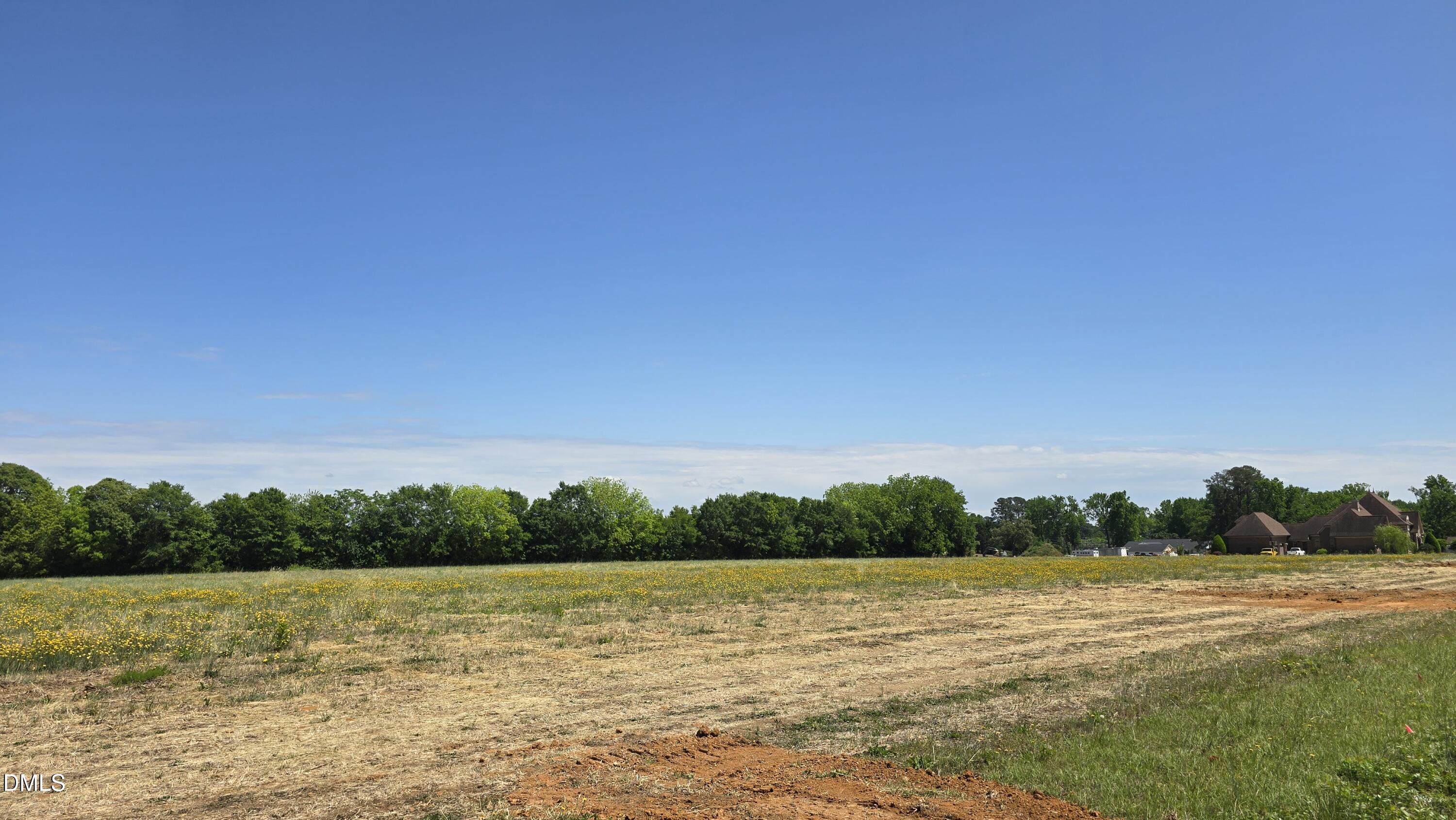 Lot 11 Dogeye Road Benson, NC 27504 - Photo 4 of 11 20260430_142221