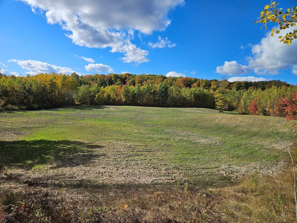 152-acres West Miller Road Mio, MI 48647 - Photo 11 of 137 9