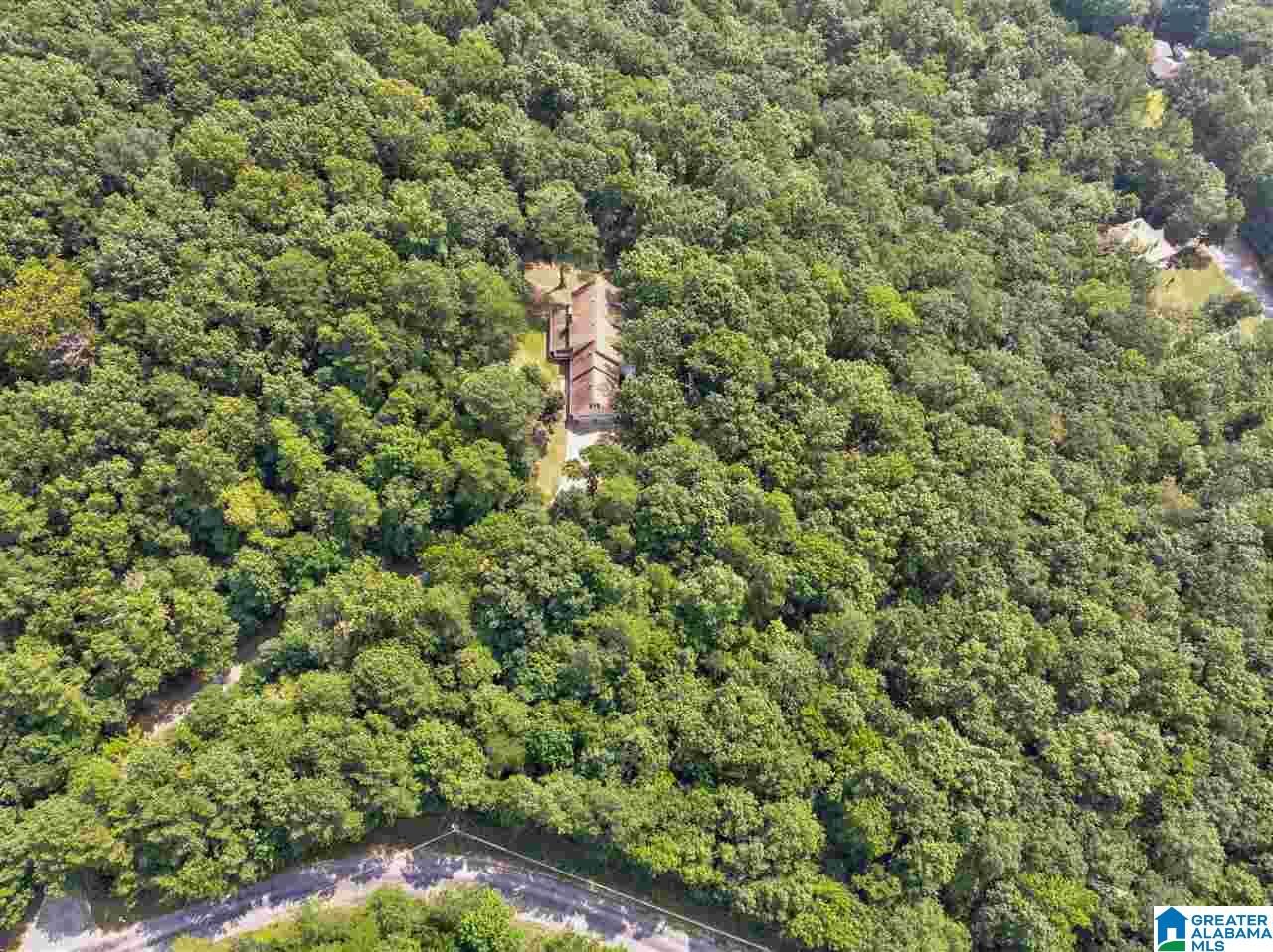 220 Timber Trail Warrior, AL 35180 - Photo 35 of 41