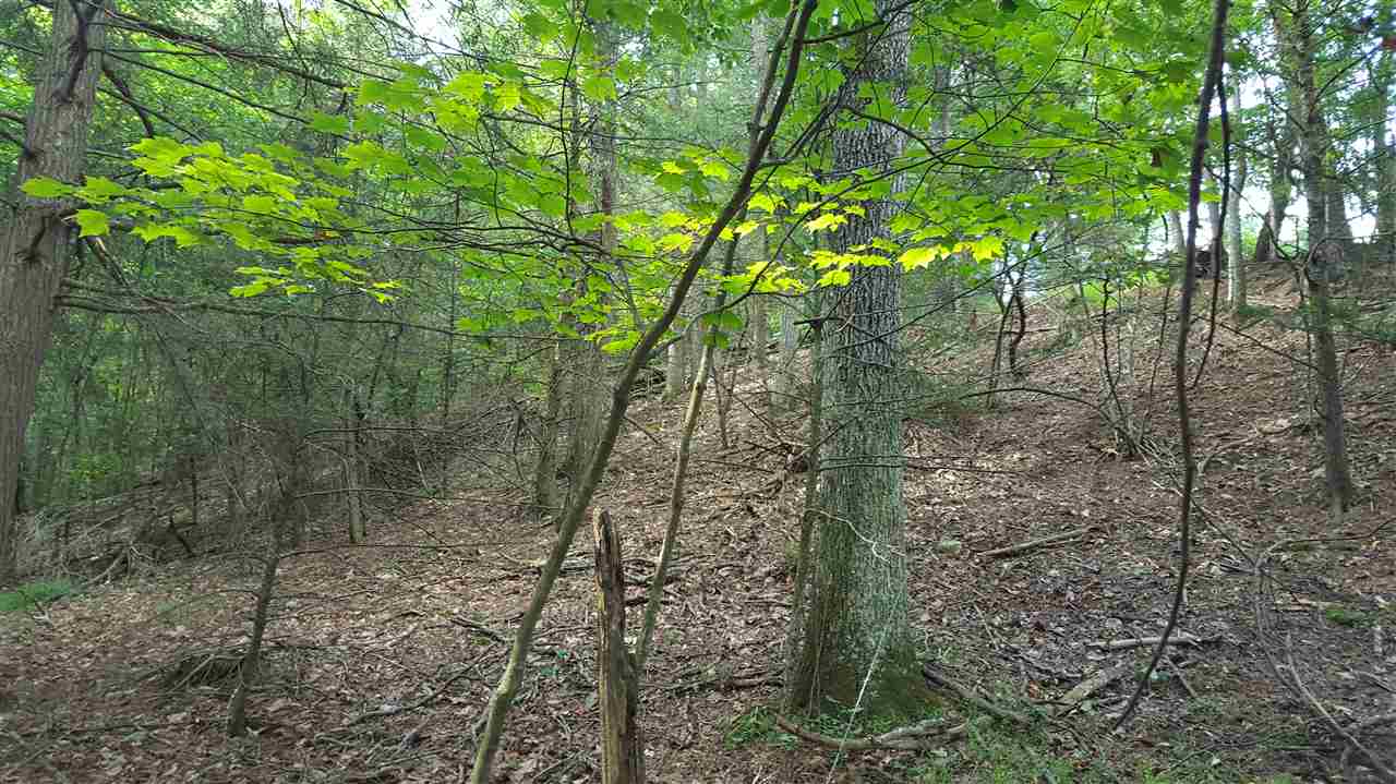 0 Winfield Road Fulks Run, VA 22830 - Photo 1 of 2 Gallery Image 1