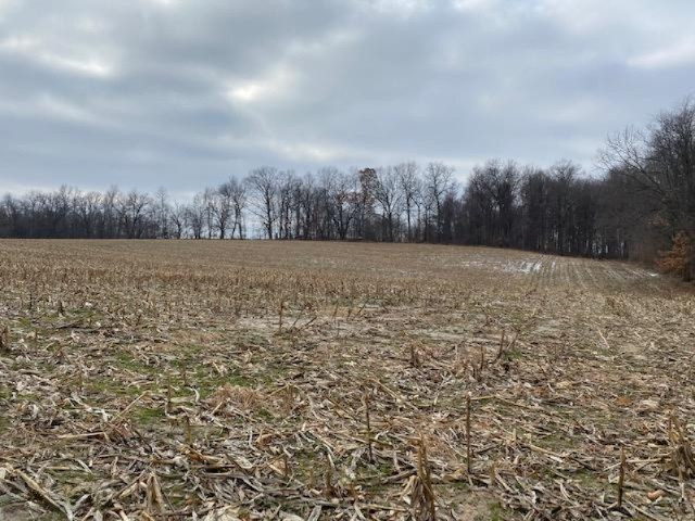 0 Genesee Road Jonesville, MI 49250 - Photo 3 of 15 IMG_8001