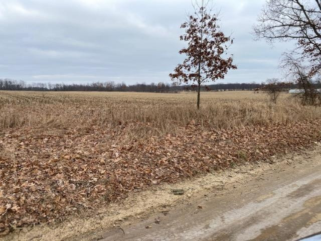 0 Genesee Road Jonesville, MI 49250 - Photo 6 of 15 IMG_8007