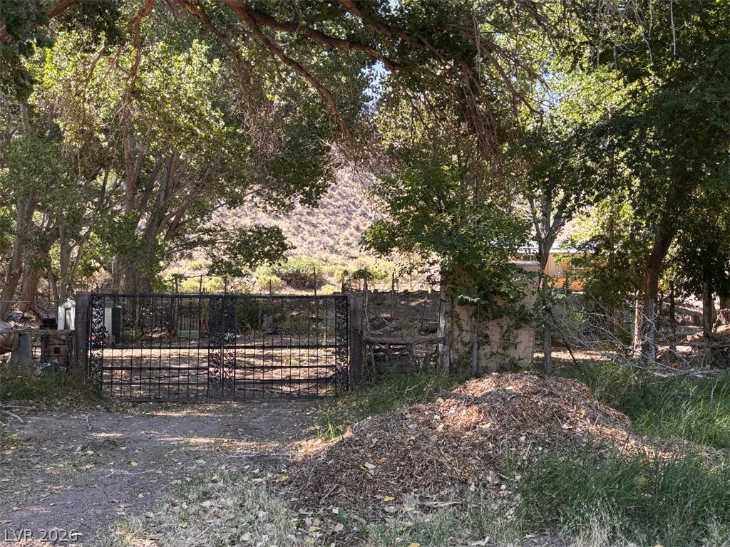 100 Hillcrest Street Caliente, NV 89008 - Photo 2 of 24 View of yard with a gate