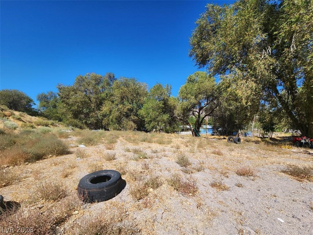 100 Hillcrest Street Caliente, NV 89008 - Photo 8 of 24