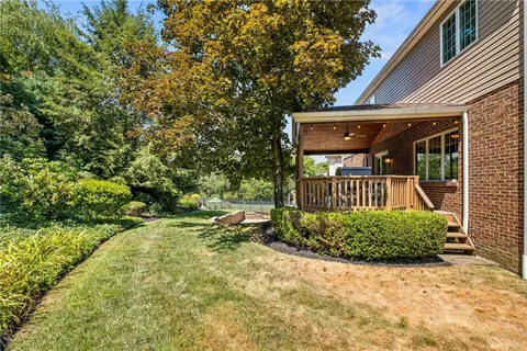 a view of a garden with plants