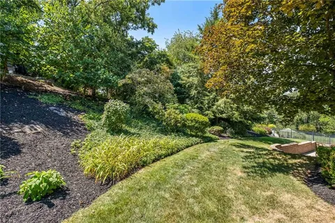 a view of a garden with plants and large trees