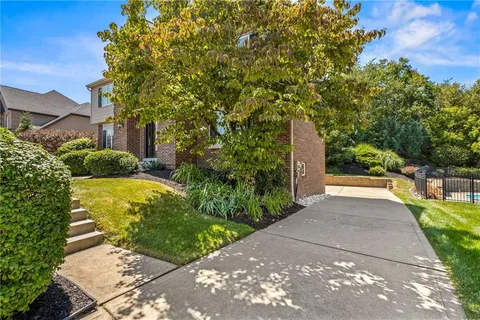 a view of a garden with plants