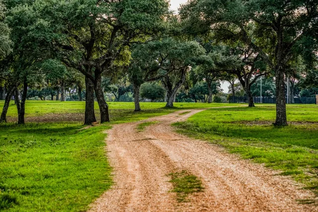 a front view of house with a garden