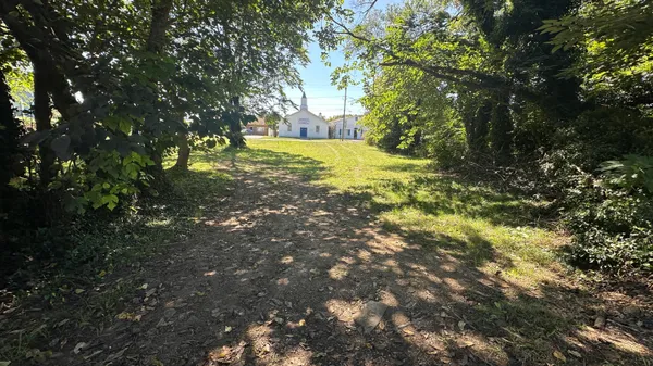 a view of yard with green space