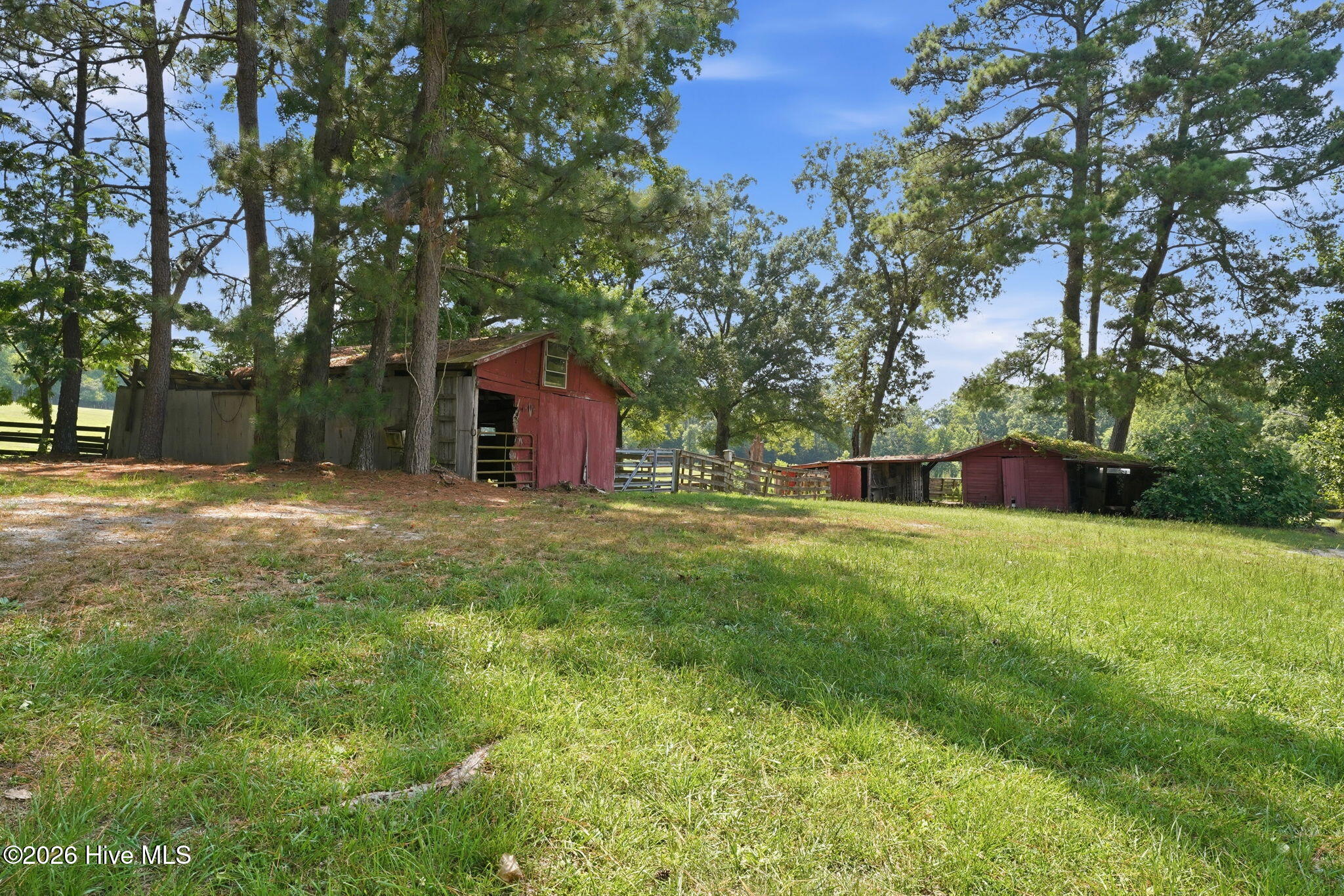 580 Lamms Road Carthage, NC 28327 - Photo 44 of 64