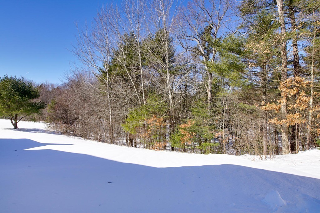 22 Ridge Road Norfolk, MA 02056 - Photo 29 of 30 Gallery Image 29
