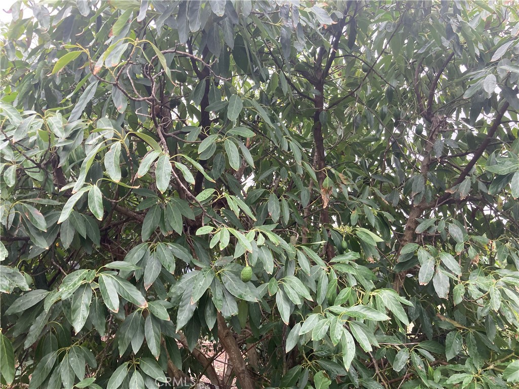 a backyard of a house