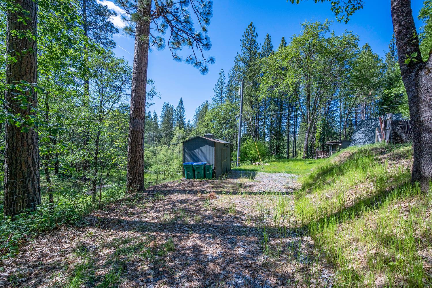 6141 Sweeney Road Somerset, CA 95684 - Photo 58 of 67 a view of a yard with plants and trees