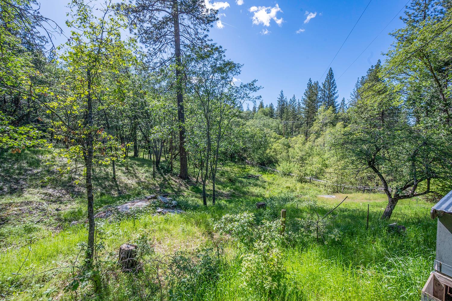6141 Sweeney Road Somerset, CA 95684 - Photo 59 of 67 a view of a garden